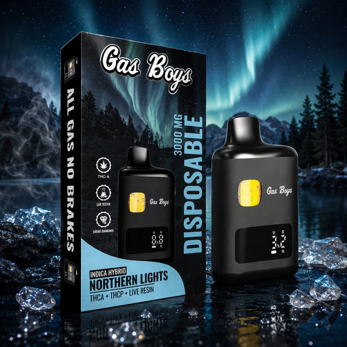 NORTHERN LIGHTS DISPOSABLE VAPE
